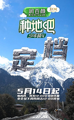 狂飙内容配图